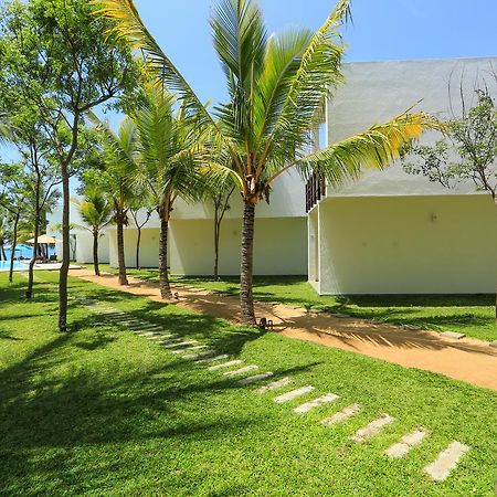 Arugambay Roccos Hotel Arugam Bay Exterior photo