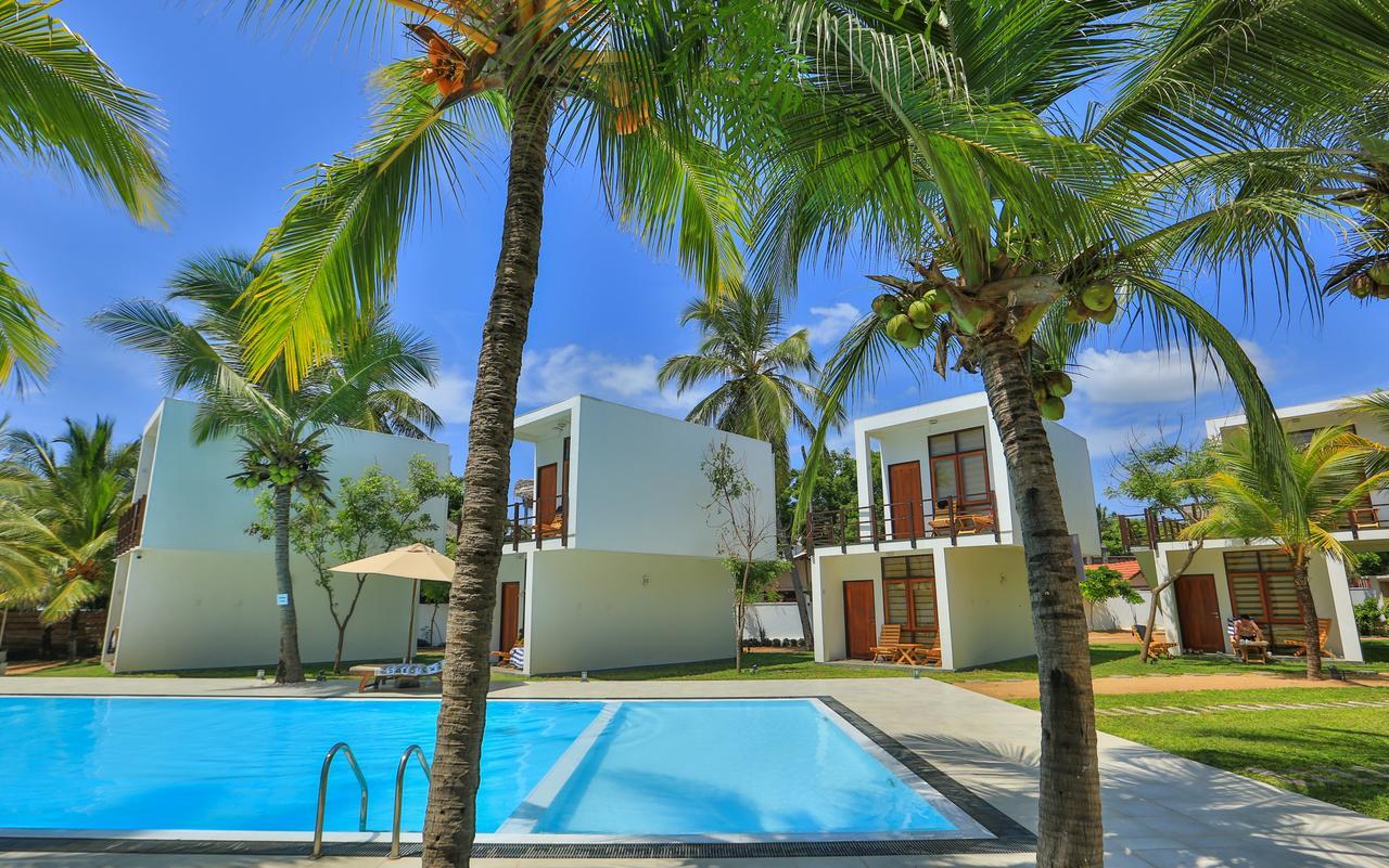 Arugambay Roccos Hotel Arugam Bay Exterior photo