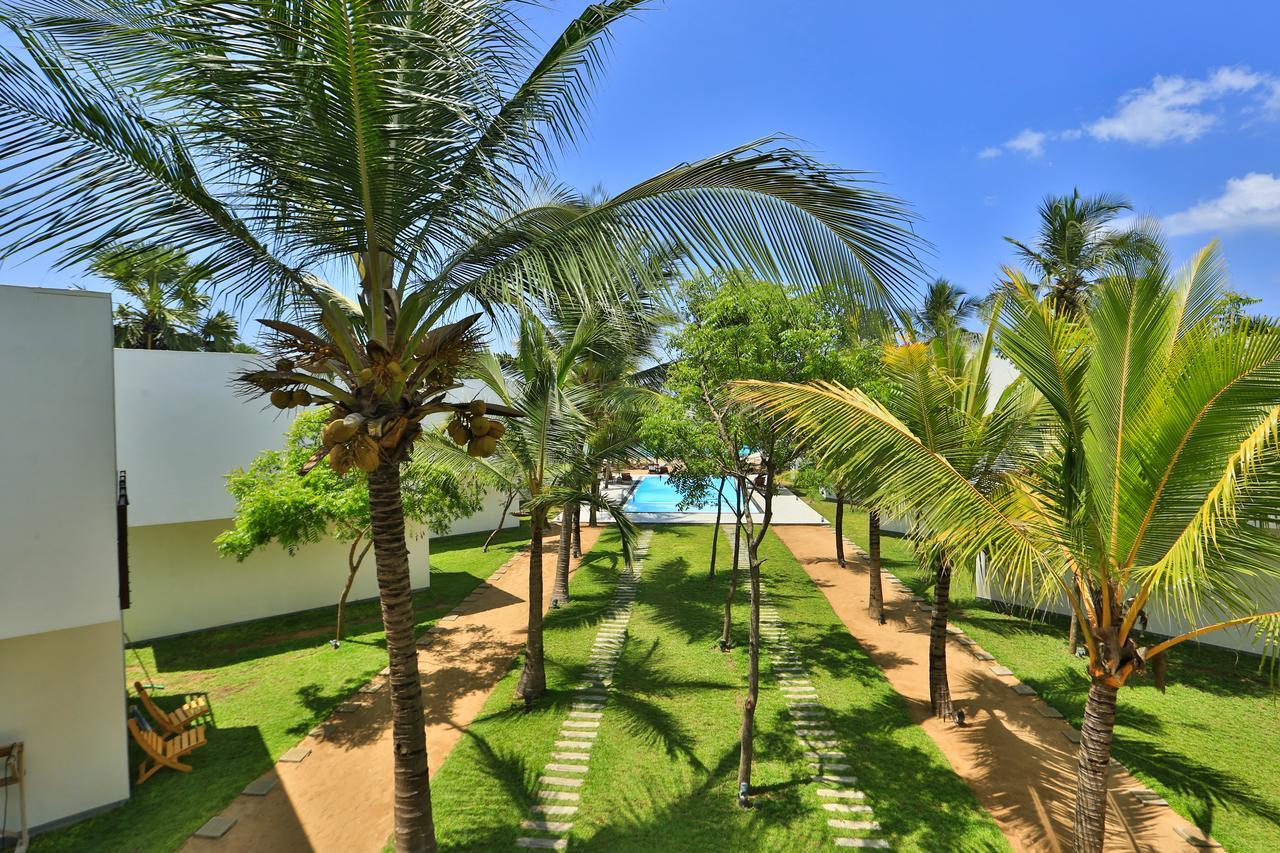 Arugambay Roccos Hotel Arugam Bay Exterior photo